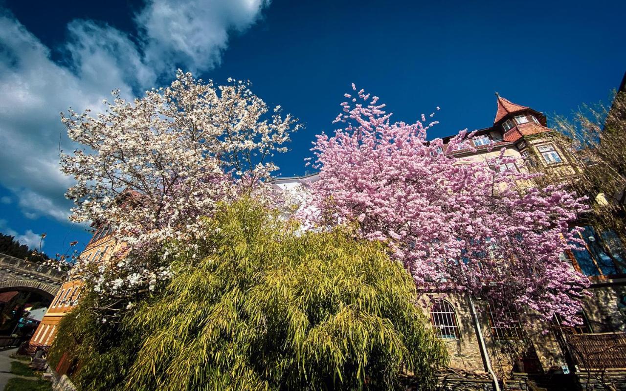 Gartenloft An Der Mur มูเรา ภายนอก รูปภาพ